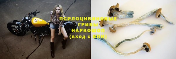 не бодяженный Алексин