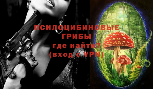 твердый Алзамай