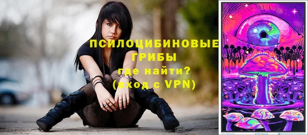 не бодяженный Алексин