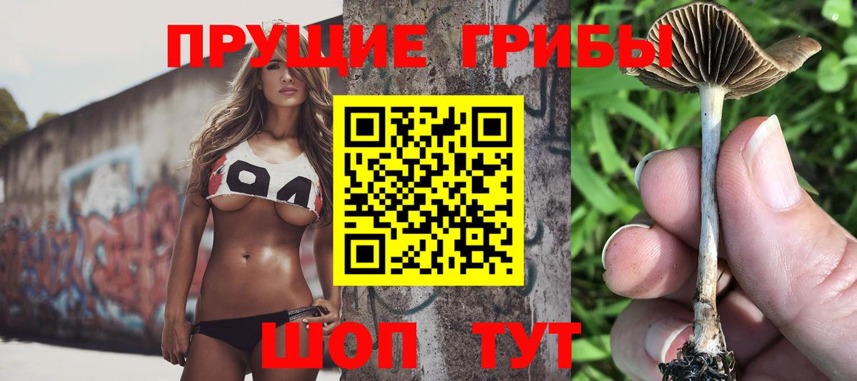 Галлюциногенные грибы Magic Shrooms  Псилоцибиновые грибы Cubensis  Нарткала  Вход с VPN 
